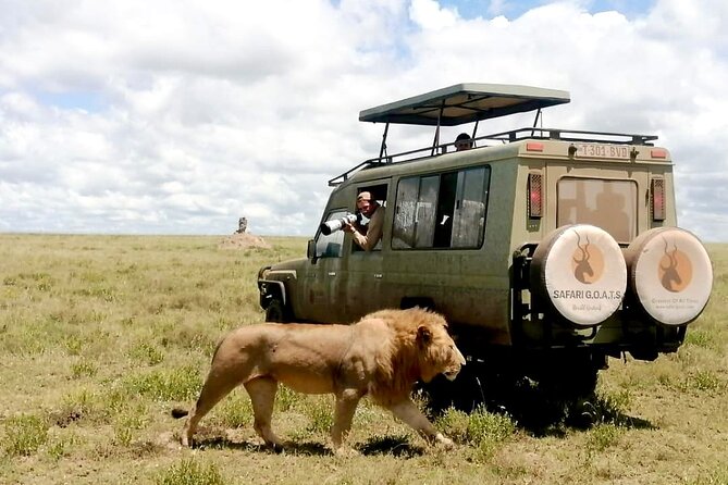 4 Days Tarangire, Serengeti & Ngorongoro Crater Joining Group - Day 2 in Serengeti: endless plains and the scale of the Great Migration