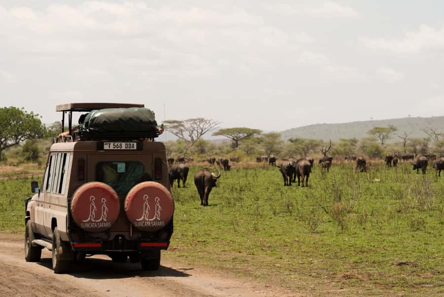 4 Days Tarangire, Serengeti, Ngorongoro Group Camping Safari - Starting in Arusha, Then Switching Gears in Tarangire