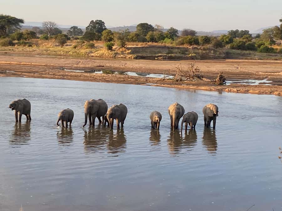 4 Days Tarangire, Serengeti, Ngorongoro Mid-range Safari - Guides, 4x4 Comfort, and Why a 6-Person Limit Matters