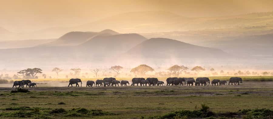4 Days Tarangire, Serengeti, Ngorongoro Mid-range Safari - Day 1 Tarangire: Big Elephant Herds and Baobab Photo Stops