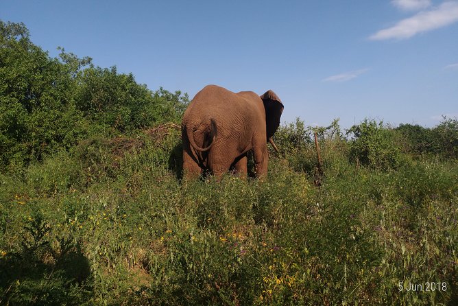 4day's Safari - Moshi and Arusha to Tarangire, the start that sets the tone