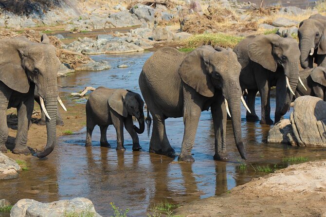 5 day 4 Nights Private Adventure Camping Norther Tanzania Safari - Day 4 Lake Manyara, the Rift Valley drop and tree-climbing lions