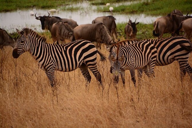 5 day 4 Nights Private Adventure Camping Norther Tanzania Safari - Food, water, fuel, and backup help, what the inclusions mean