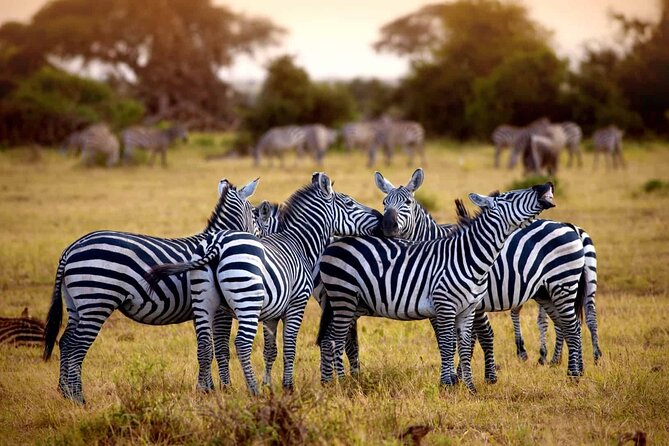 5 day 4 Nights Private Adventure Camping Norther Tanzania Safari - Price check: is $1,800 per person good value?