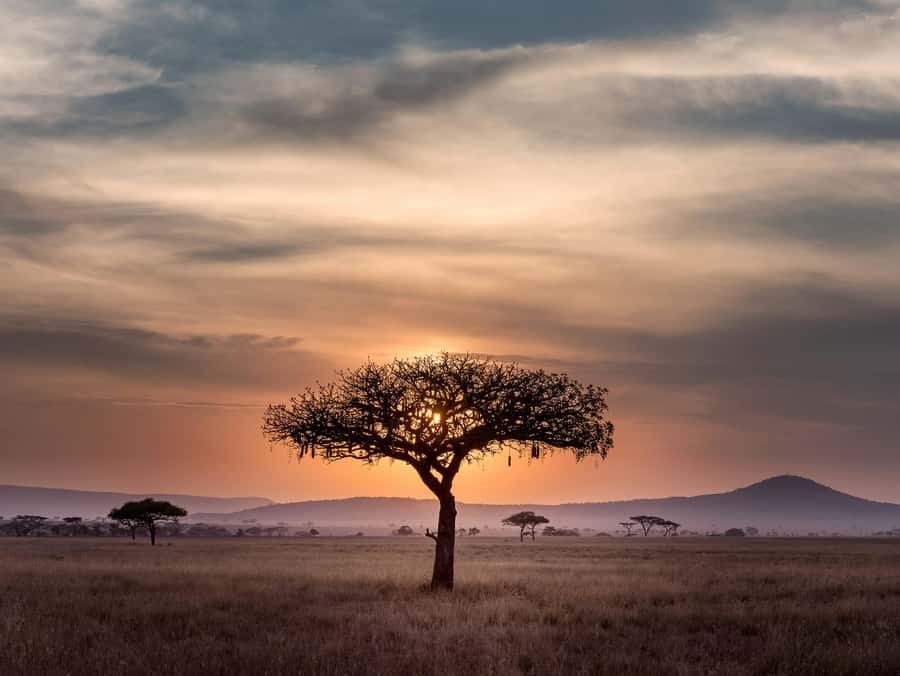 5-day Affordable Joint Group Safari (with Extra Activities) - Key Things I’d Watch For