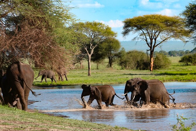 5-Day Group Tour Mid Range - A Value-Focused Route Through Tanzania Parks in 5 Days