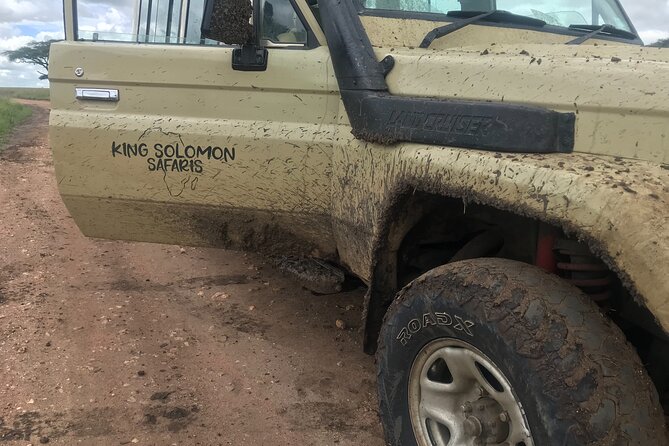 5-Day Lake Manyara, Serengeti, Ngorongoro Crater and Tarangire - The Driving Style You’ll Feel in Your Bones (In a Good Way)