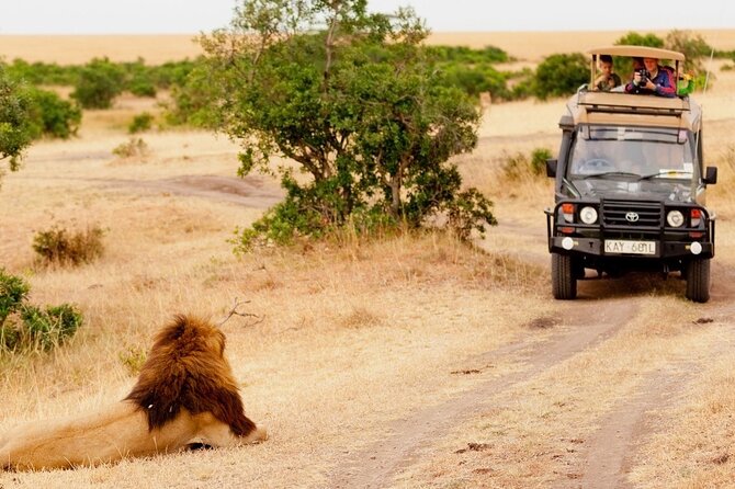5-Day Mid-Range Safari in Tanzania - Ngorongoro Conservation Area and Crater: Big Five chances plus Olduvai and Maasai time