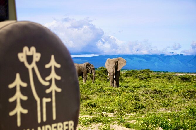 5-Day Mid-Range Safari in Tanzania - Price and value: what you are really paying for