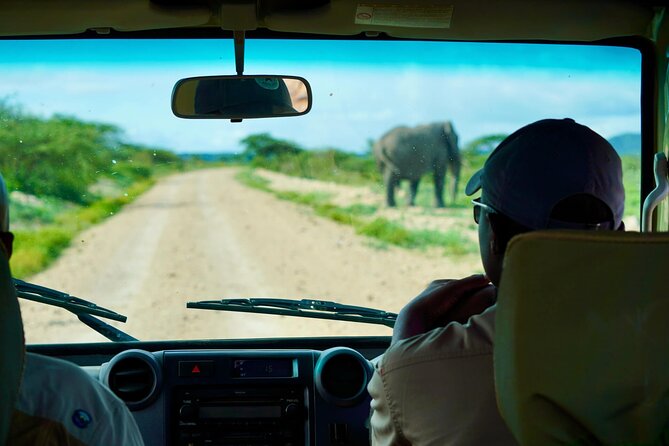 5-Day Mid-Range Safari in Tanzania - Who this safari fits best