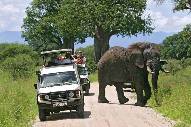 5-Day Mikumi & Ruaha Tanzania Wildlife Lodge Safari - Day 2: The long road to Ruaha, via Iringa Town