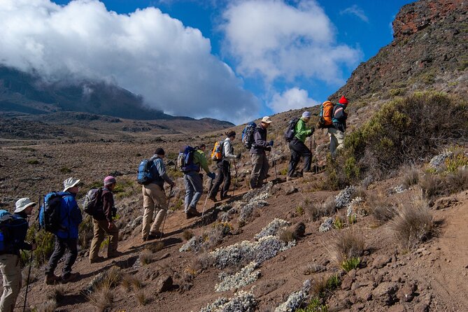 5 Day Mount Kilimanjaro Climbing via Marangu Route - Marangu Route: why the Coca-Cola path is a popular Kilimanjaro option