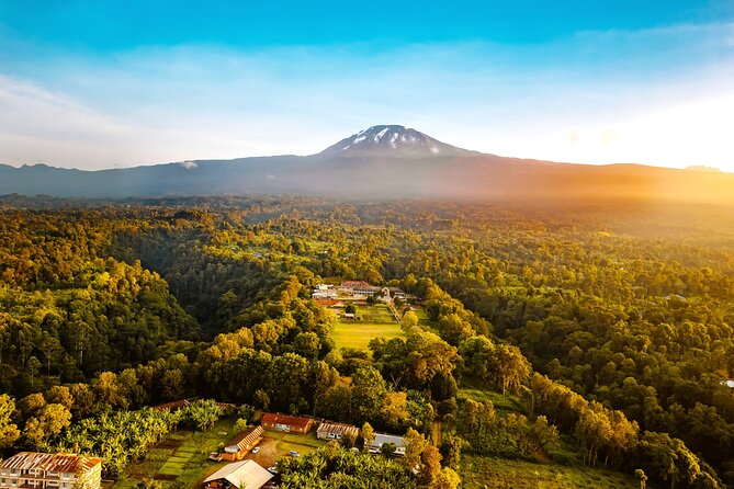 5 Day Mount Kilimanjaro Climbing via Marangu Route - Day 2 into heathland and moorlands: Mawenzi views and Horombo Hut chills