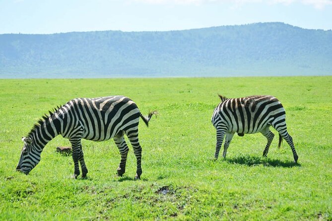 5-Day Ngorongoro Crater and Lake Manyara Safari from Arusha - Guides, cooking, and the small details that change your mood
