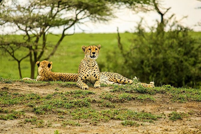 5-Day Ngorongoro Crater and Lake Manyara Safari from Arusha - Campsites, lodges, and sleeping on safari without the chaos
