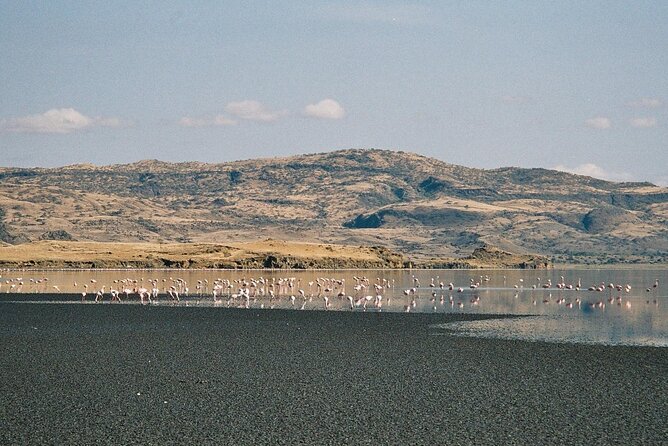 5-Day Private Adventure Tour to Ngorongoro Conservation Area - Lake Natron hike plus Oldonyo Lengai time: daytime heat and night volcano power