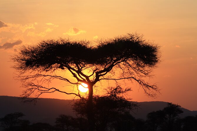 5-Day private Camping Safari Tour in Tanzania - Guides You Can Thank: Rocky, Gordon, Mandela, and More