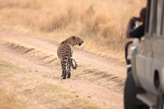 5-Day Private Camping Tour to Serengeti, Ngorongoro & Tarangire - The road to Serengeti and the crater views you get along the way
