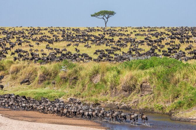 5-Day Private Camping Tour to Serengeti, Ngorongoro & Tarangire - Descending Ngorongoro on day 5: 600 meters down and lunch by hippos