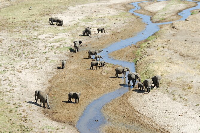 5-Day Private Camping Tour to Serengeti, Ngorongoro & Tarangire - Guides, driving, and why spotting can feel easy
