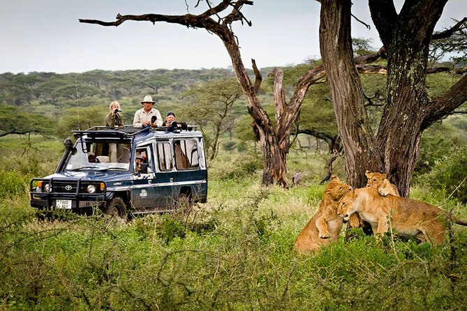 5 Day Private Guided Wildebeest Migration Tour - Day 1 Tarangire National Park: Elephants, Baobabs, and River Magic
