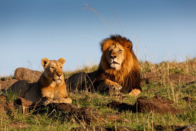 5 Day Private Guided Wildebeest Migration Tour - Day 3 Serengeti National Park: The Route Through Karatu and Into Seronera