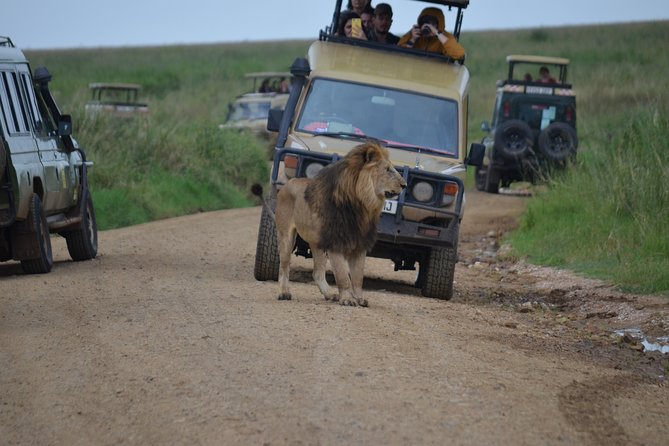 5 Day Private Lodge & Camping Tour of Tarangire, Serengeti & Ngorongoro Crater - Why This 5-Day Private Safari Route Makes Sense