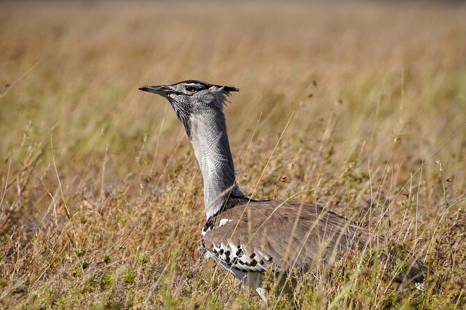 5-Day Private midrange Tour in Arusha with Airport Pickup - Key points to know before you go