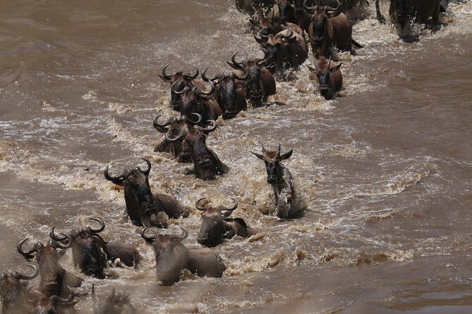 5-Day Private Northern Tanzania Safari from Arusha - Ngorongoro Conservation Area: From Lodge Timing to Crater Water and Wildlife
