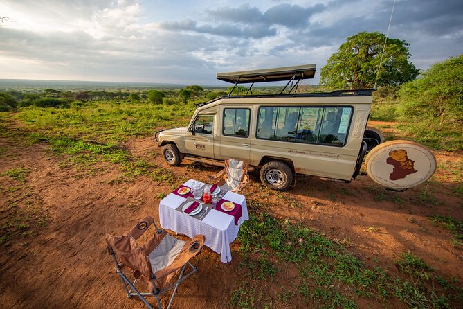 5-Day Private Northern Tanzania Safari from Arusha - Ngorongoro Crater Day and Lake Magadi: The Classic Finish Line