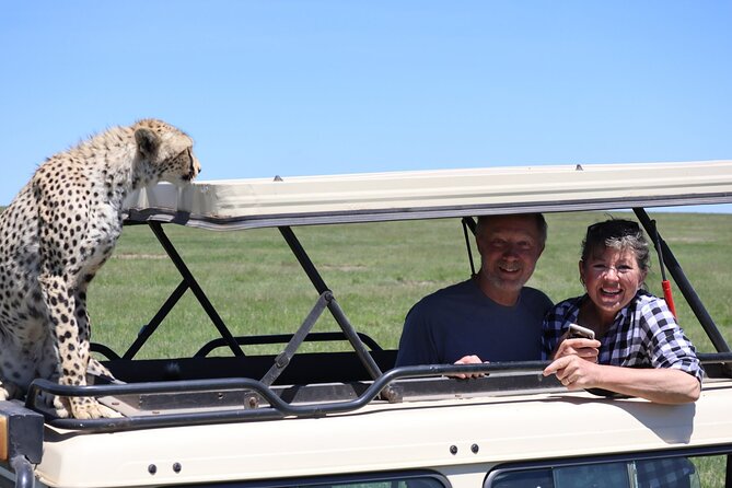 5-Day Private Safari in The Serengeti with Accommodation - Accommodation and the daily rhythm of safari driving