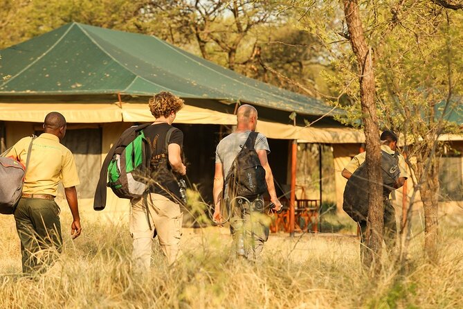 5-Day Private Safari Tour in Tanzania's Wildlife - Ngorongoro Crater day: 600 meters down to the wildlife bowl