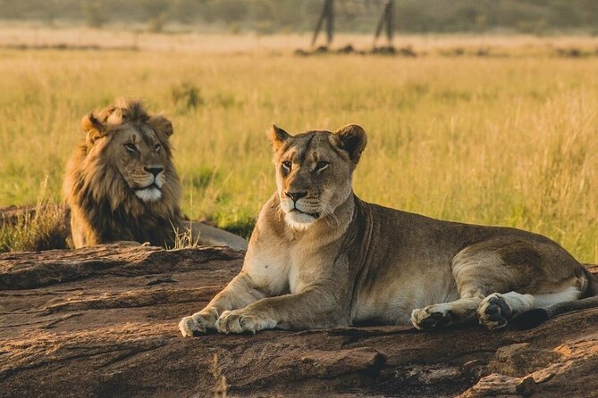 5-Day Private Tour in Mikumi National Park and Udzungwa Mountain - Mikumi Makes Sense If You Want Safari Value