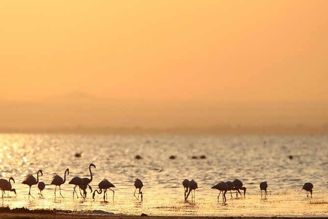 5 Day: Scenic Northern Circuit Safari - Arusha pickup to Rift Valley roll-out: how the days start