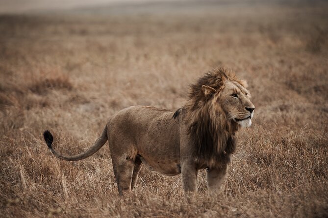 5 Day Tanzania Safari - Entering Tarangire National Park on Day 1 (Start at 7:30 AM)