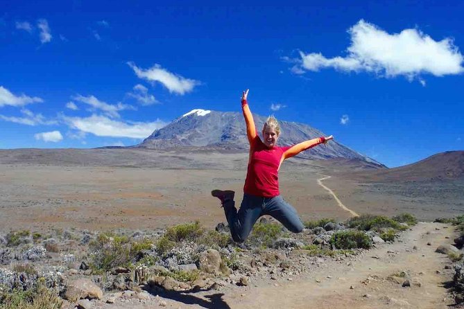 5 Days (4 Night) Marangu Route - Day 2: the shift from forest into heather, ending at Shira One