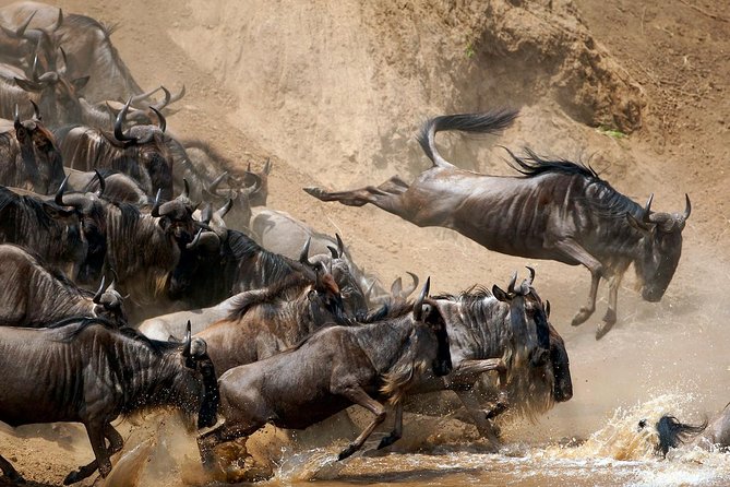 5 Days / 4 Nights Join group safari - Meals, water, and the little extras that keep you sane
