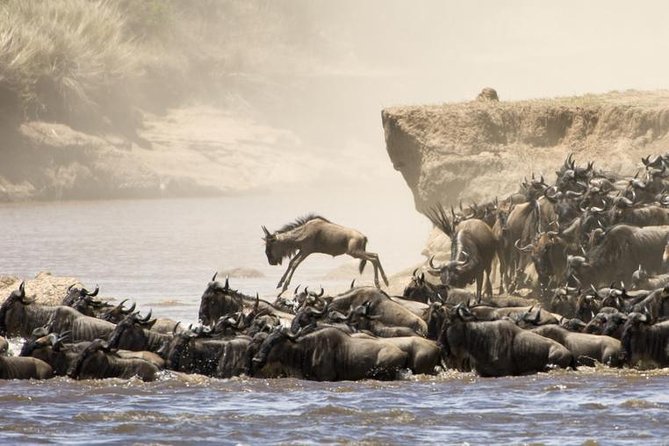 5 Days 4 Nights Tarangire, Serengeti , Ngorongoro & Manyara Wildlife Safari - The best part of a 5-day safari is what you do not plan