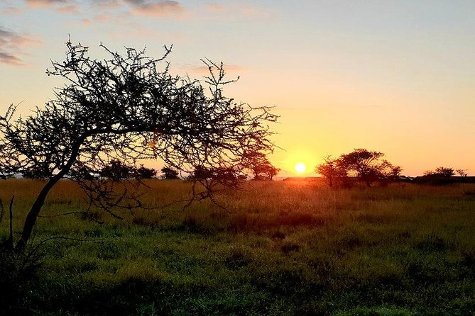5 Days African Safaris - Ngorongoro Crater: A Self-Contained World of Animals