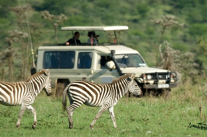 5 Days Budget Safari in Tanzania - Why a 5-day budget safari from Arusha feels smarter than DIY