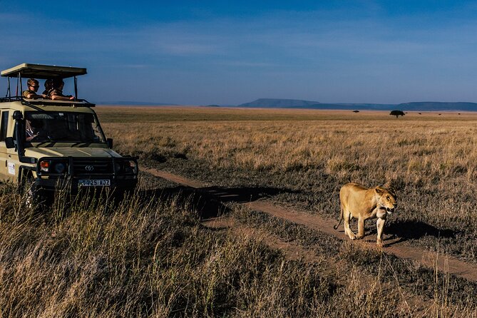 5 Days Budget Safari in Tanzania - Day 1 at Tarangire: elephant herds, ancient baobabs, and river wildlife
