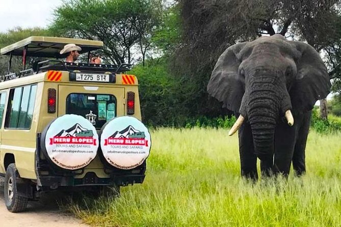 5 Days Camping Tarangire, Serengeti & Ngorongoro crater & Visiting Maasai - The Community Stop: Mto wa Mbu, Banana Plantations, and Maasai Confirmations