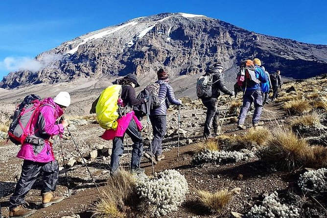 5 Days cheapest Kilimanjaro Marangu Route - Marangu Route, the hut-friendly path up Kilimanjaro