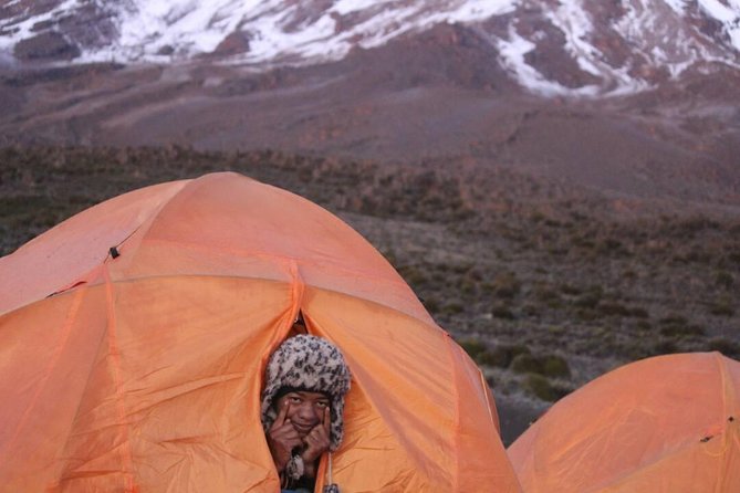 5 Days cheapest Kilimanjaro Marangu Route - Day 4: Summit day from Gilman’s Point to Uhuru Peak, then back to huts
