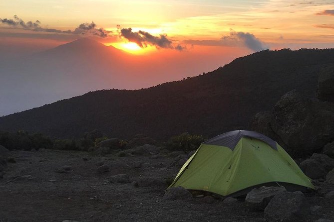 5 Days cheapest Kilimanjaro Marangu Route - Moorland Safari and Trekking: how the service shows up on the mountain