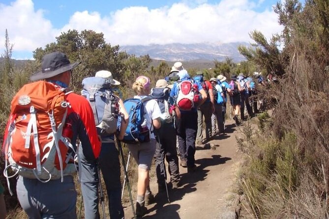 5 Days Classic Kilimanjaro Climb via Marangu route - Marangu Route is the “classic” way up Kili