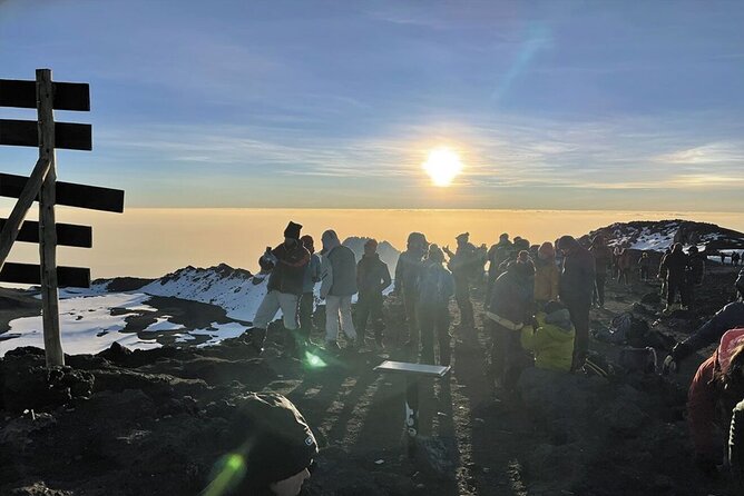 5 Days Classic Kilimanjaro Climb via Marangu route - Day 5: Descent to Mandara Hut, then rainforest back to the gate