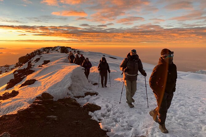 5 Days Classic Kilimanjaro Climb via Marangu route - The Golden Trips Tanzania team and why support matters