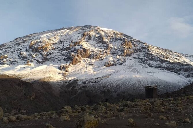 5 Days Climbing Mount Kilimanjaro Marangu Route - Day 2: steep forest climb, then high moorland and early views