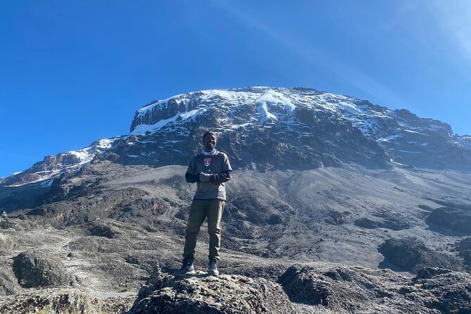 5 Days Climbing Mount Kilimanjaro Marangu Route - Day 5: the descent through moorland and lush forest to Marangu village